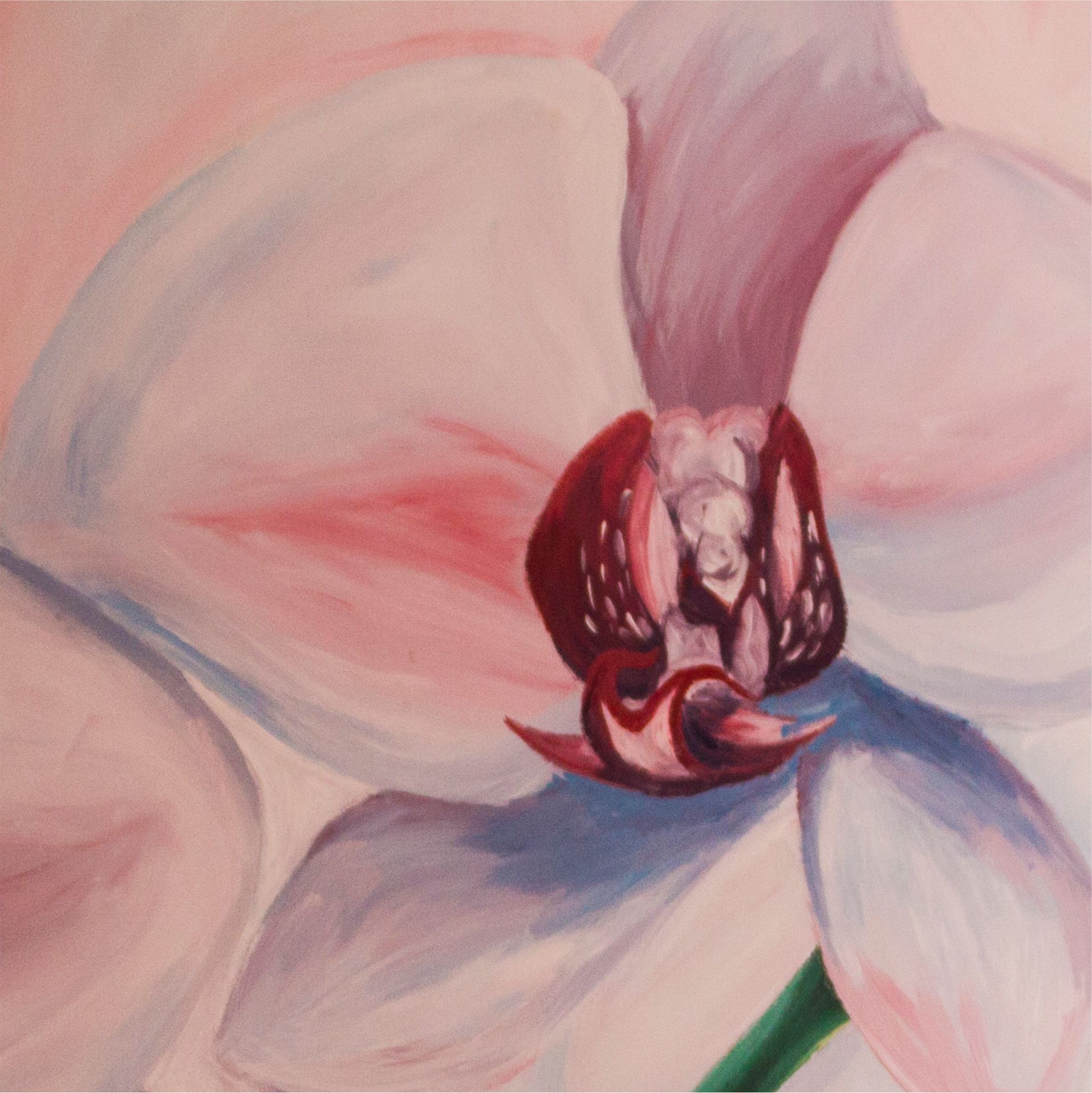 Orchids